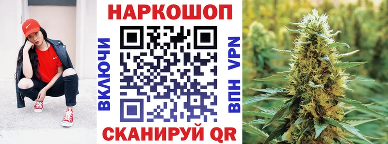 Как найти наркотики Аргун MEGA онион  Alpha PVP  Меф  Канабис  Галлюциногенные грибы 