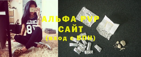 мдпв Рославль