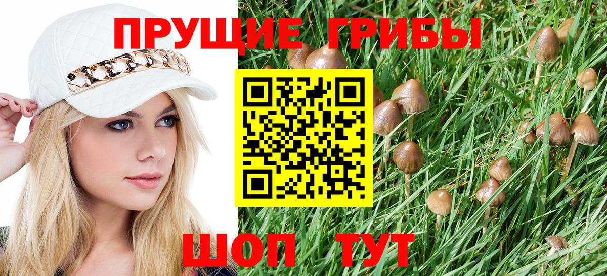 ЭКСТАЗИ  МЕФ   А ПВП СОЛЬ кристаллы  Cocaine  ГАШИШ  Гашиш  МДМА  Канабис  Аргун  Канабис 