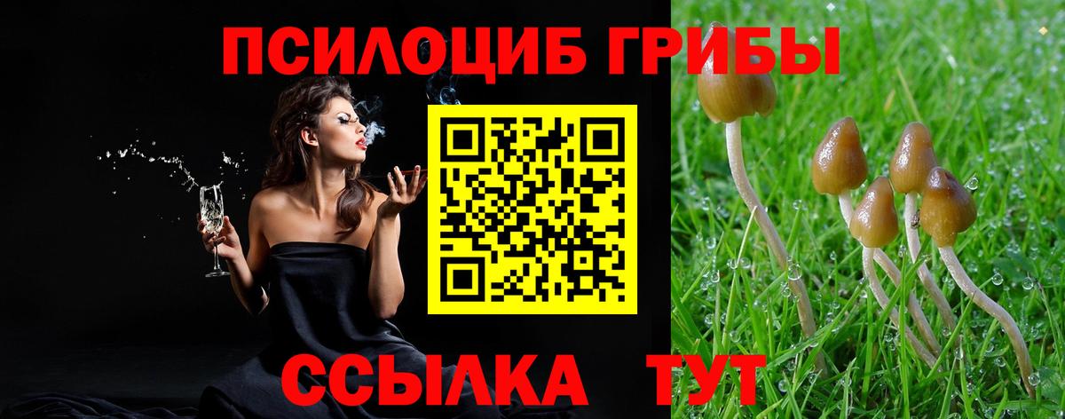Псилоцибиновые грибы ЛСД Аргун